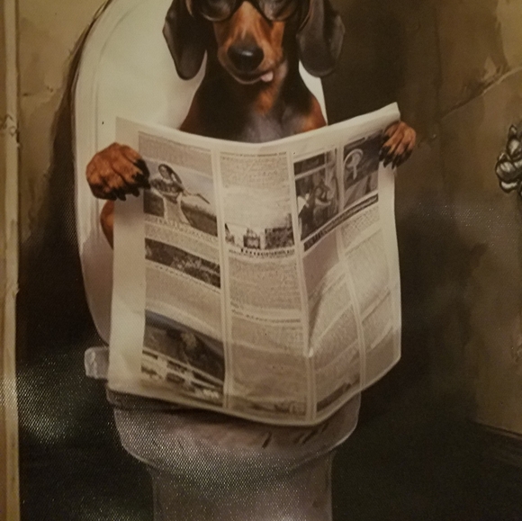 Framable Dachshund On Toilet Reading Newspaper Canvas Wall Decor Enjoy Your Poop - Picture 2 of 7